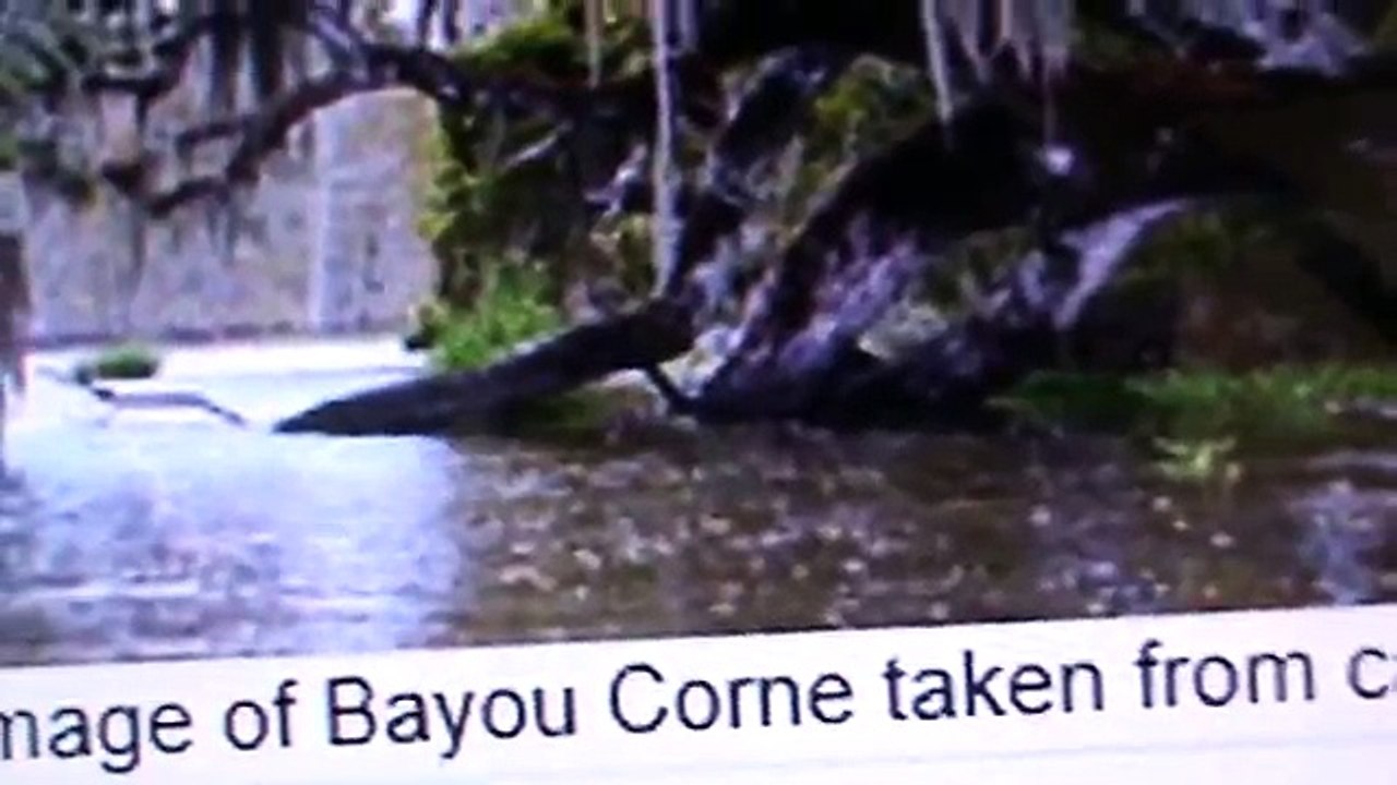 BIGGEST SINKHOLE IN THE WORLD, BAYOU CORNE LA, & LAKE PEIGNEUR