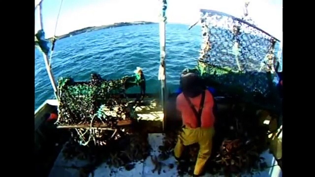 PECHE AU COQUILLES 30 MINUTES DE PECHE NAVIRE DE PECHE BELLE ILE EN MER