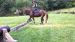 Hesitant Horse Overcomes Fear in Spectacular Leap