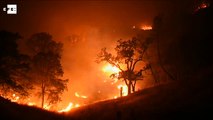 Miles de evacuados por los incendios en California