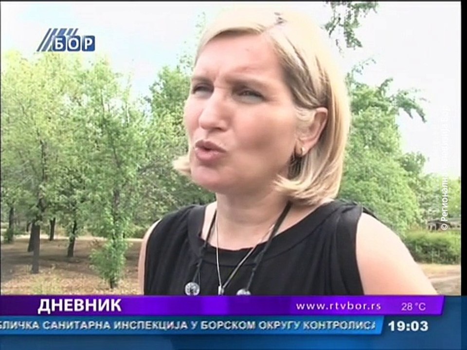 Dnevnik, 03. avgust 2015. (RTV Bor)