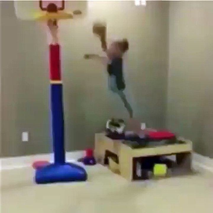 funny videos