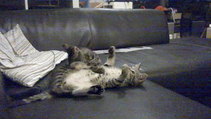 ficelle et belzebuth