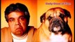 Funny Dog Lookalikes (Dog Look alike compilation) DDOF