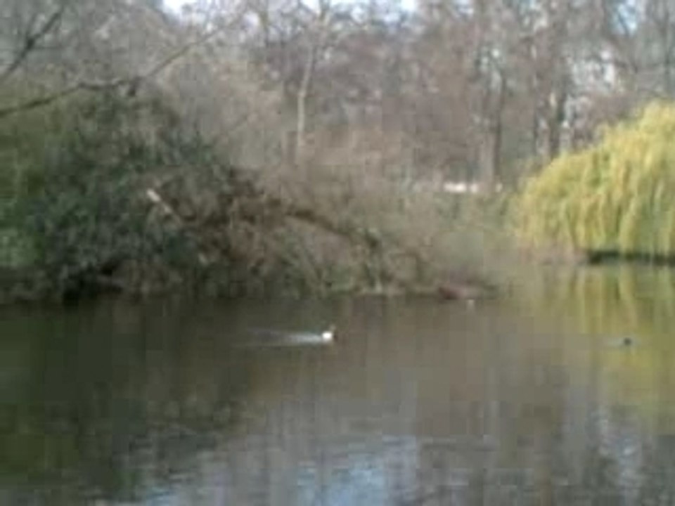 St_james's_park