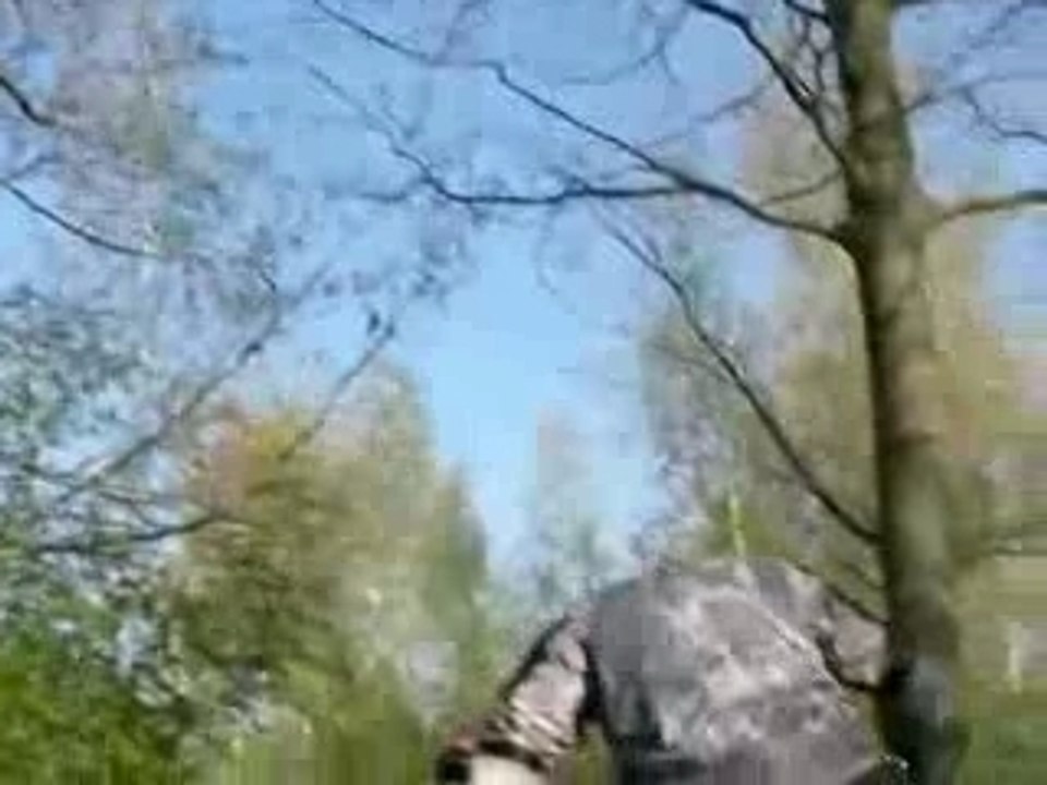 free ride dh a cheptainville