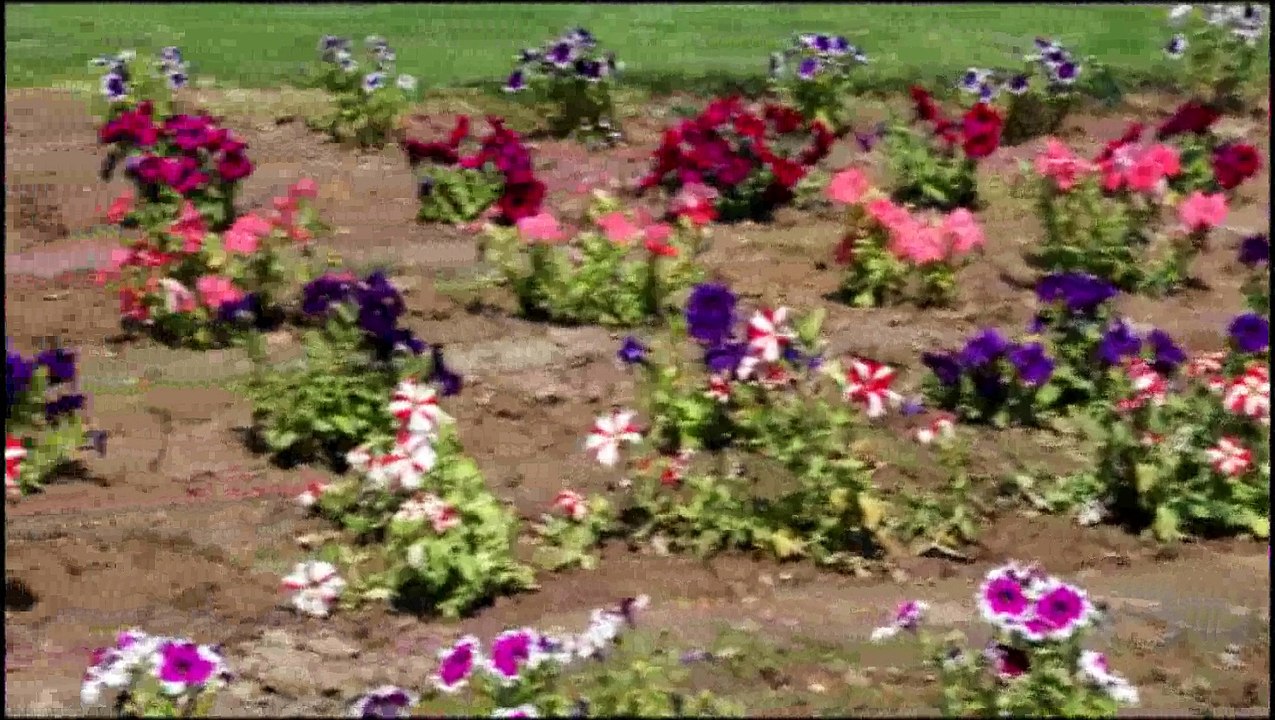 Taangh Peace Garden