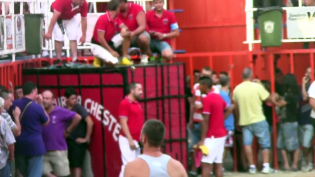 BOUS AL CARRER CHESTE 2014. Toro Cerril Nº95.Nom.SOLIDARIO.Ganaderia Fernando Machancoses. 25.Julio