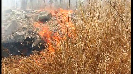 Giugliano (NA) - La cava Resit ancora in fiamme: l'ombra dell'ecomafia (23.07.15)