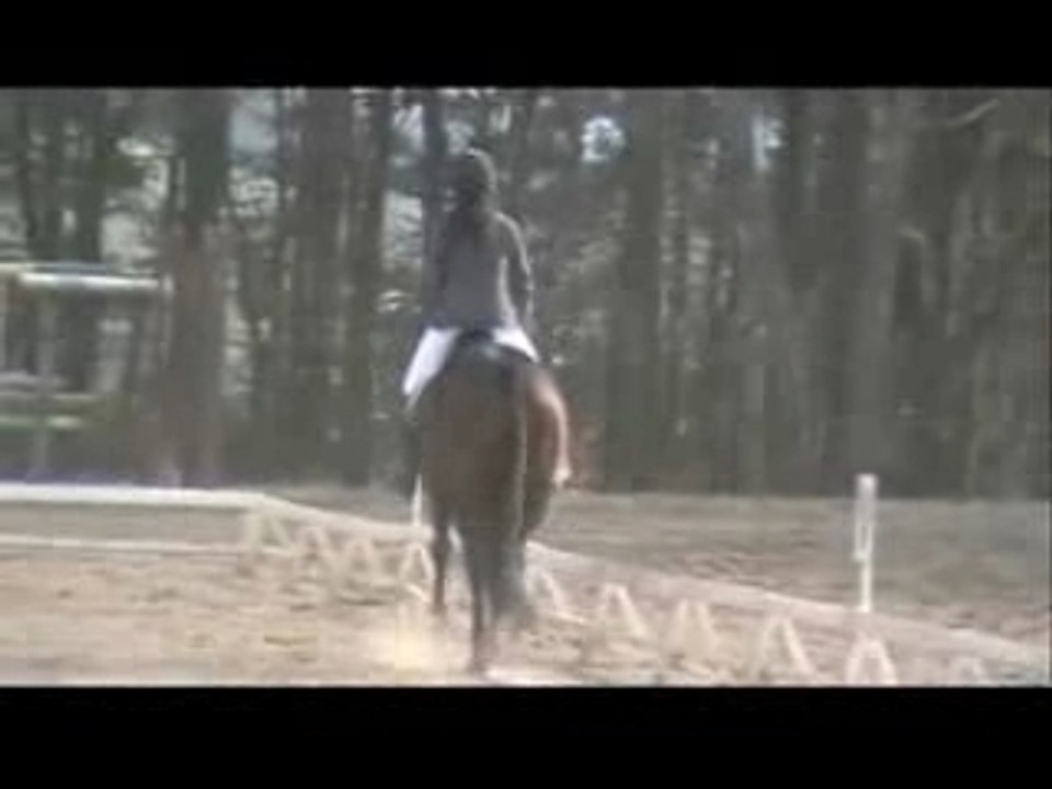 1er dressage Pretty Lulu