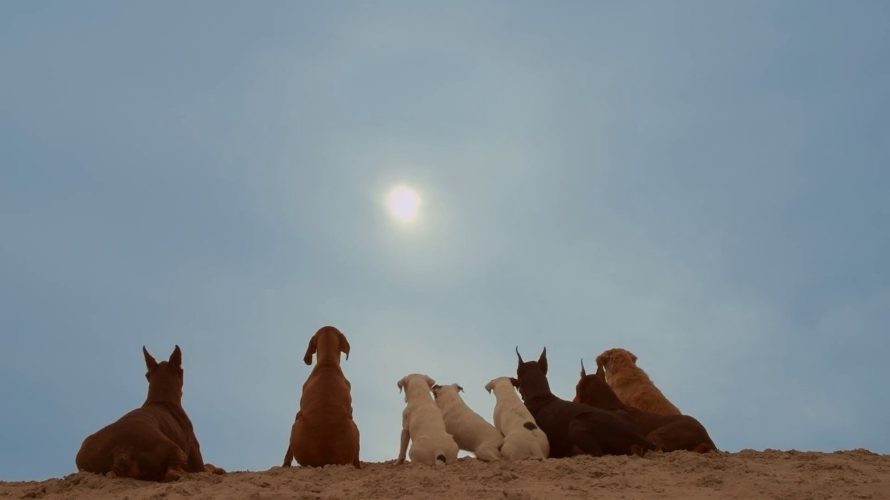 Philippe B: Nous irons jusqu'au soleil