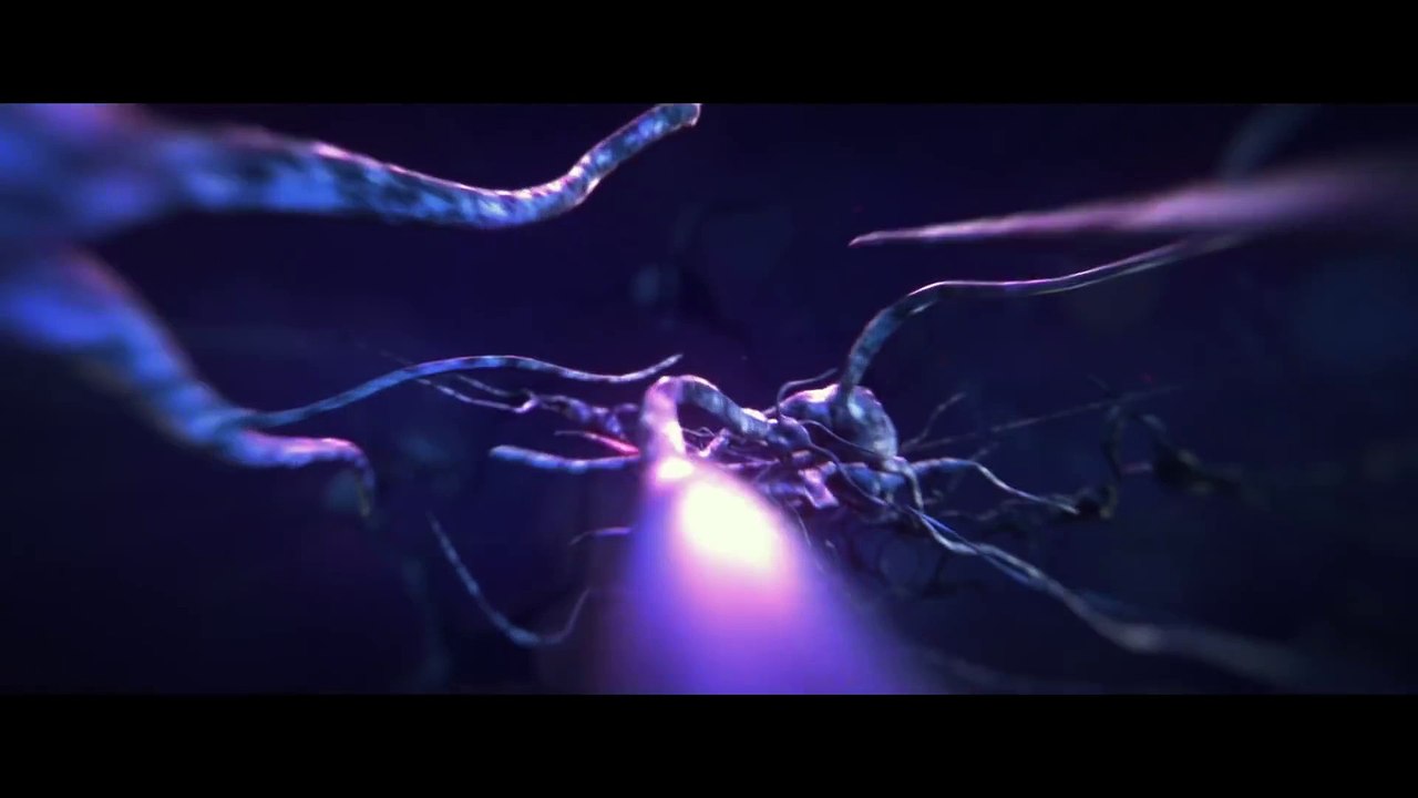 2oolander Teaser