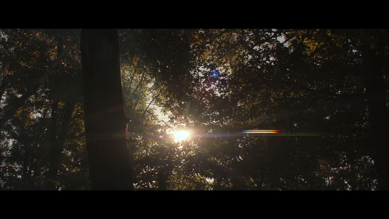 Hunger Games - La Révolte Partie 2 de Francis Lawrence - Bande-annonce VF