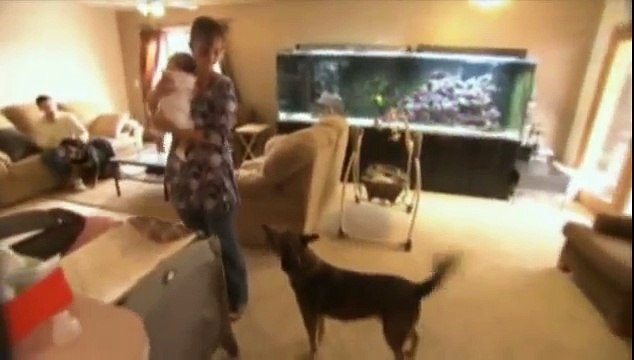 el encantador de perros -Bebé Llorón(4ªTemp)(1de2)