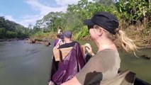 Deep Into the Amazon Rainforest - Huaorani Ecolodge Tour