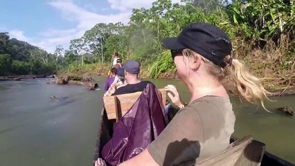 Deep Into the Amazon Rainforest - Huaorani Ecolodge Tour