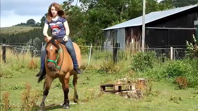 Mon poney et moi: Jeux et monte en cordelette! :)