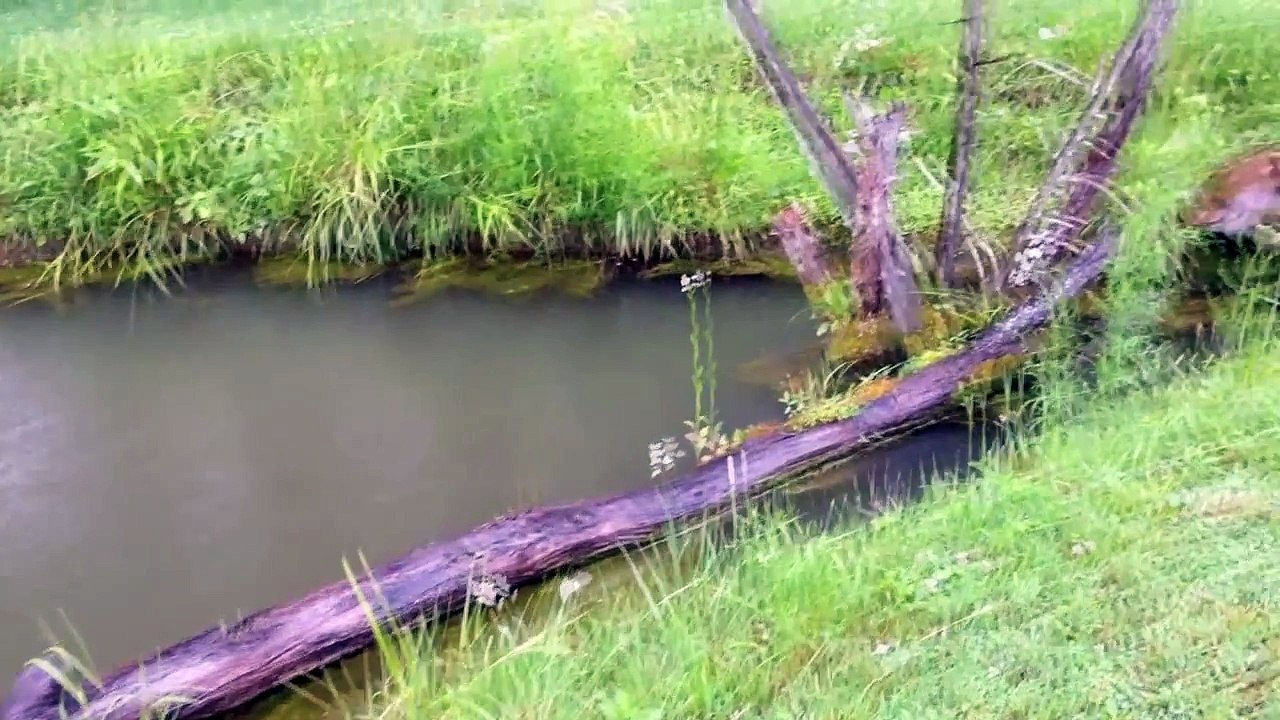 Pond Leak Repair Progress -