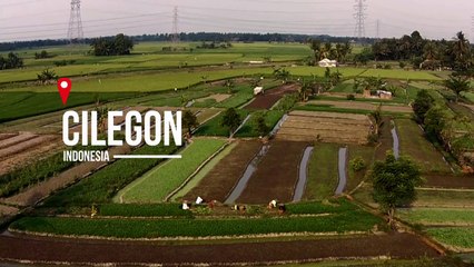 Mentor - Grupo Techint "No Hay Fronteras"