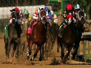 Best Winning Horse Racing System