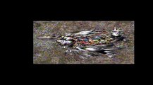 DREFF Workshop - Plastic Vortex: Our Oceans, Plastic and Other trash with Doug Woodring