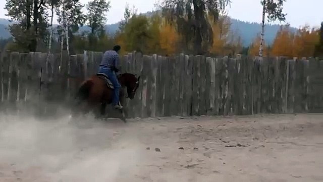 SOLD ** Starlight Command ** Finished Reining Horse