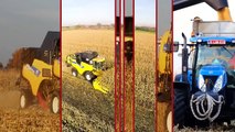 New Holland CR/ CX Series Corn Treshing Demonstration