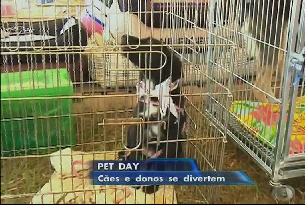 Pet Day reúne amantes de animais de estimação em Brasília