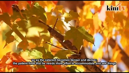 Clouds belong in the sky, not in our eyes