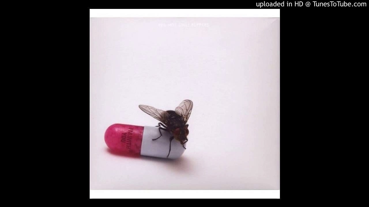 RED HOT CHILI PEPPERS - 06. LOOK AROUND