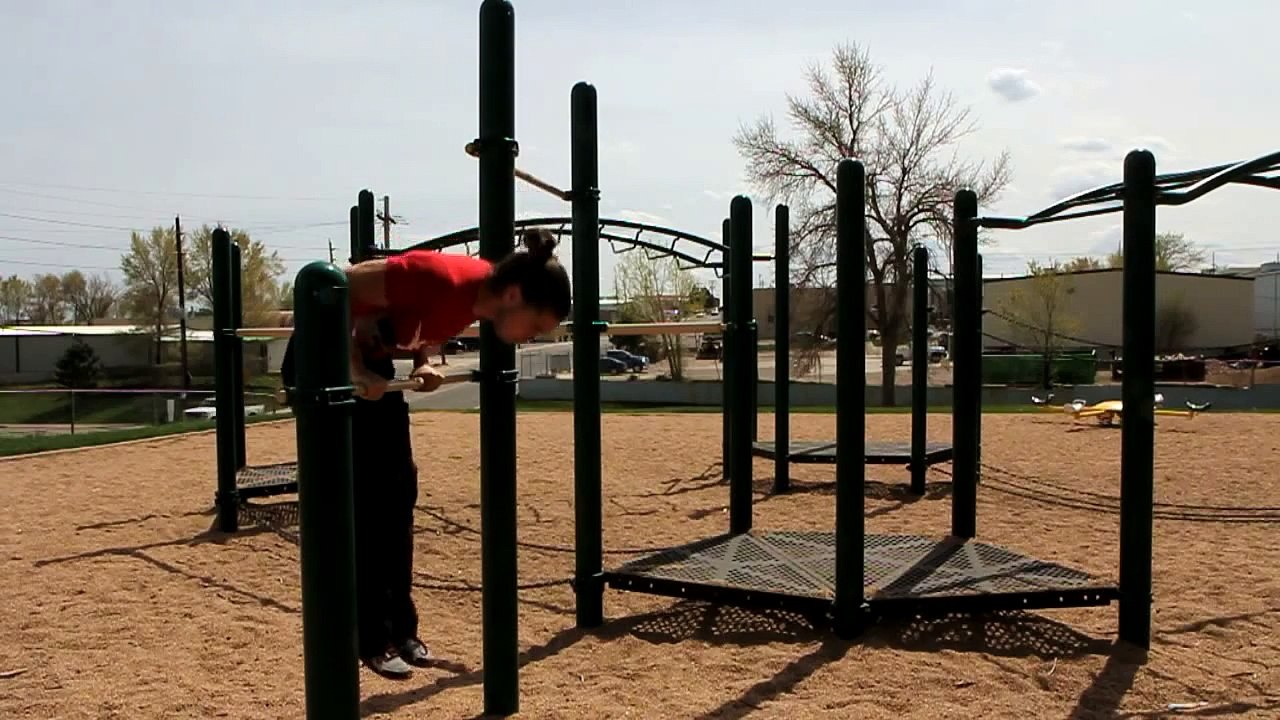 Single Bar Dips