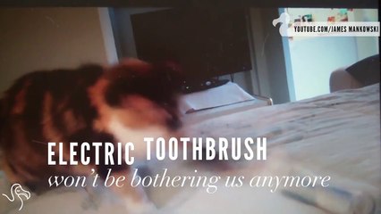 The Human House is Full of Terrifying Things that Need To Be Attacked