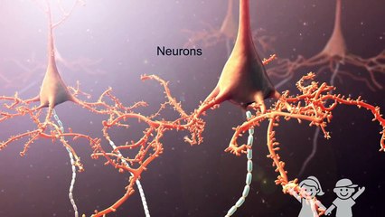 Pediatric Epilepsy Surgery at Children's Healthcare of Atlanta