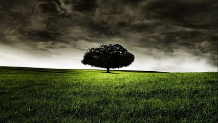 Ludovico Einaudi - Eden Roc