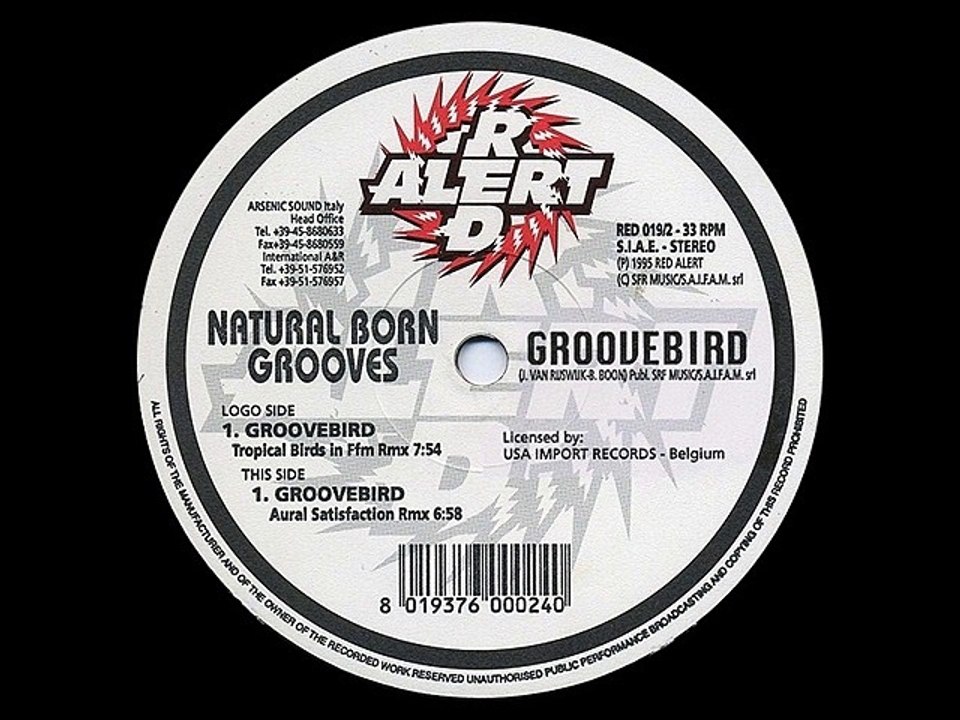 Natural Born Grooves - Groovebird (Tropical Birds in Ffm Rmx)