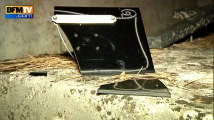 Meurthe-et-Moselle: un cimetière chrétien profané