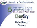 5 Great Reasons to Always Choose the Specialists at Chem-Dry of Palm Beach