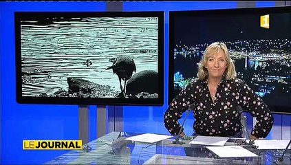 Des pollutions qui se répètent à Tahiti