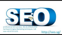 SEO Company singapore (http://seo.sg/)