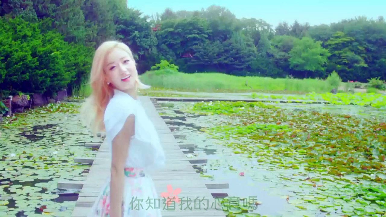 [繁體中字] Apink -花瓣占卜 (Petal) MV