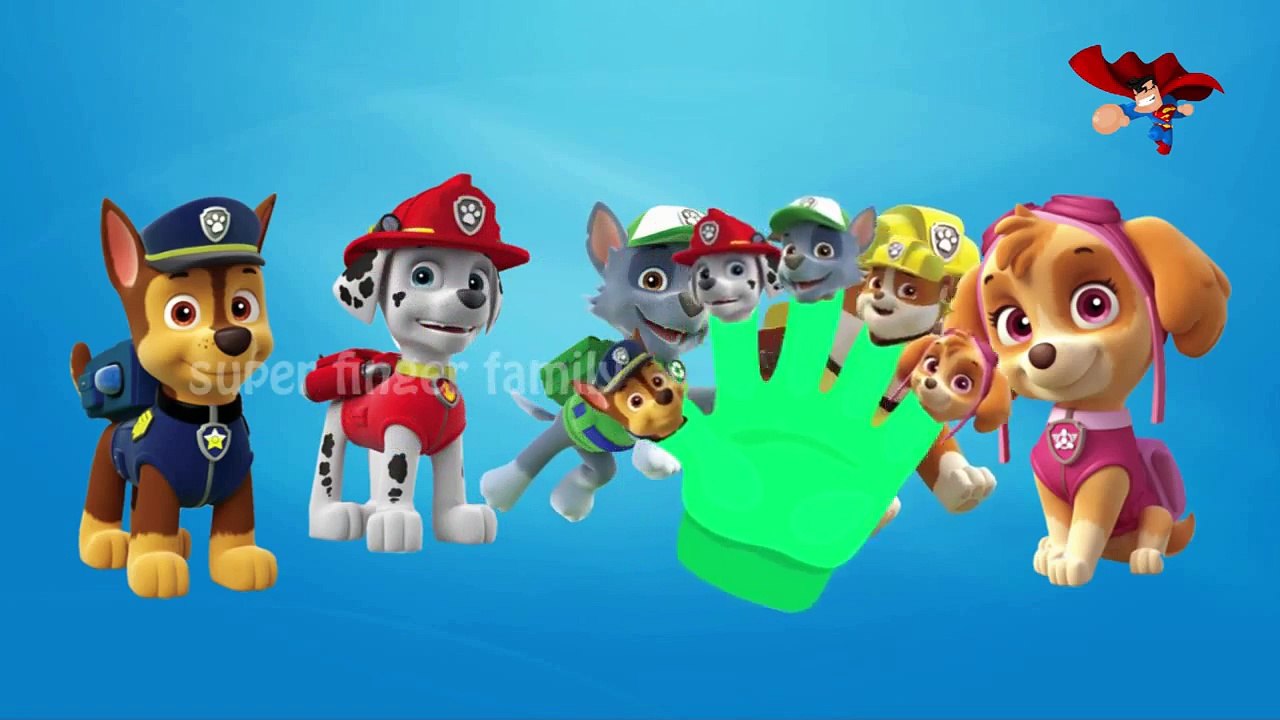 Paw Patrol   3D Cartoon Finger Family Nursery Rhymes For Kids   Cartoon Rhymes