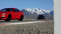2015 Shelby GT350 and GT350R Track Video!