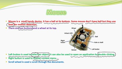 Pointing devices & Functions