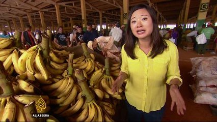 Cuban farmers lead the way to free-market economy