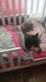 Dog sleeps with baby girl under Blanket!! So Cute!!