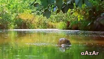 Pakistan Army Song WATAN KE LIYE (HQ)