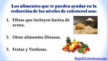 Alimentos Para Bajar El Colesterol