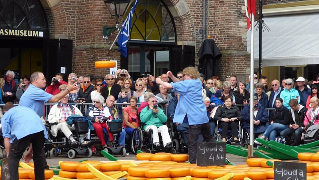 marché au fromage à Alkmaar