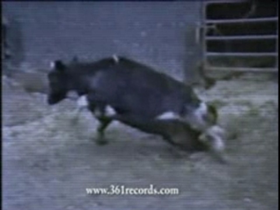 La Fin De Leur Monde