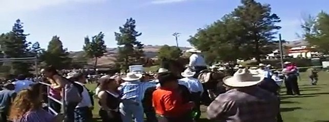 Andaluz caballo bailador Carlos Negrete dancing pulidos horse